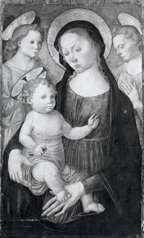 Anonimo — Maestro di San Miniato - sec. XV - Madonna con Bambino e angeli — insieme